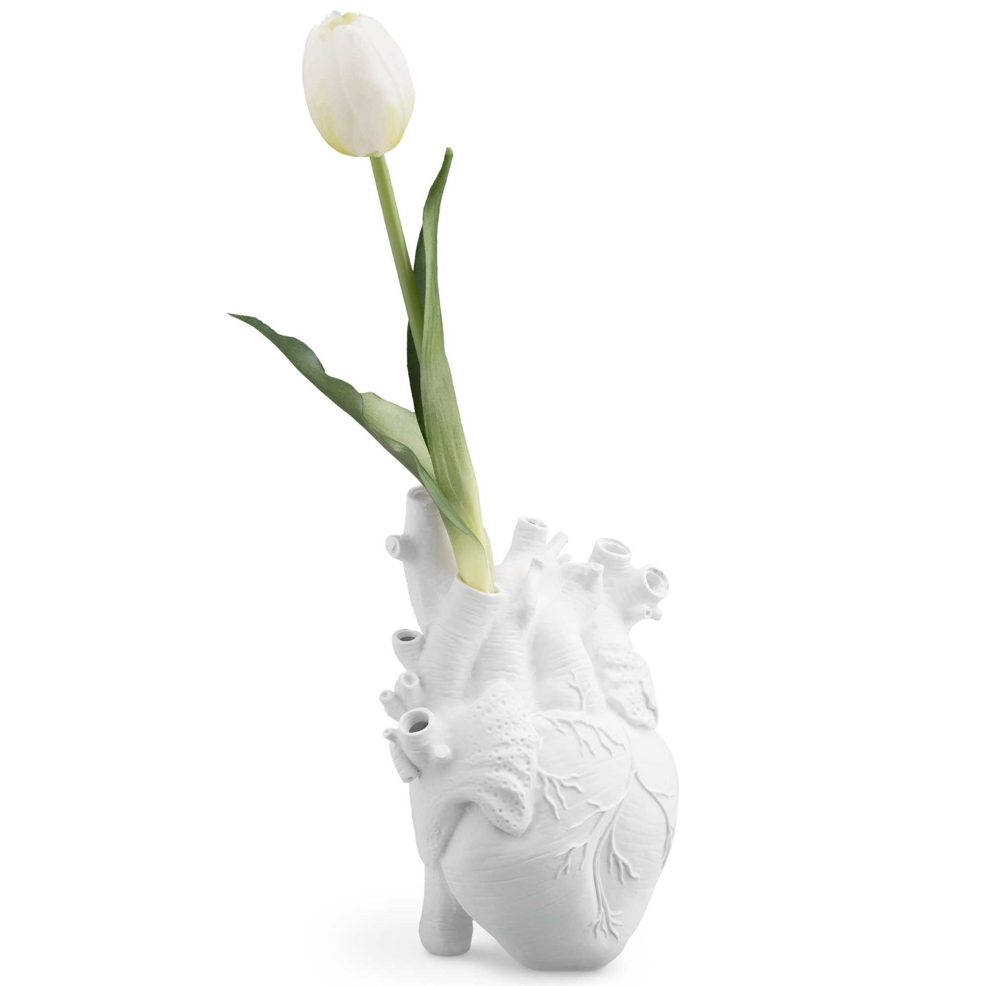 Navaris Dekovase Herz Vase anatomisch - Anatomie Deko Vase aus Kunstharz