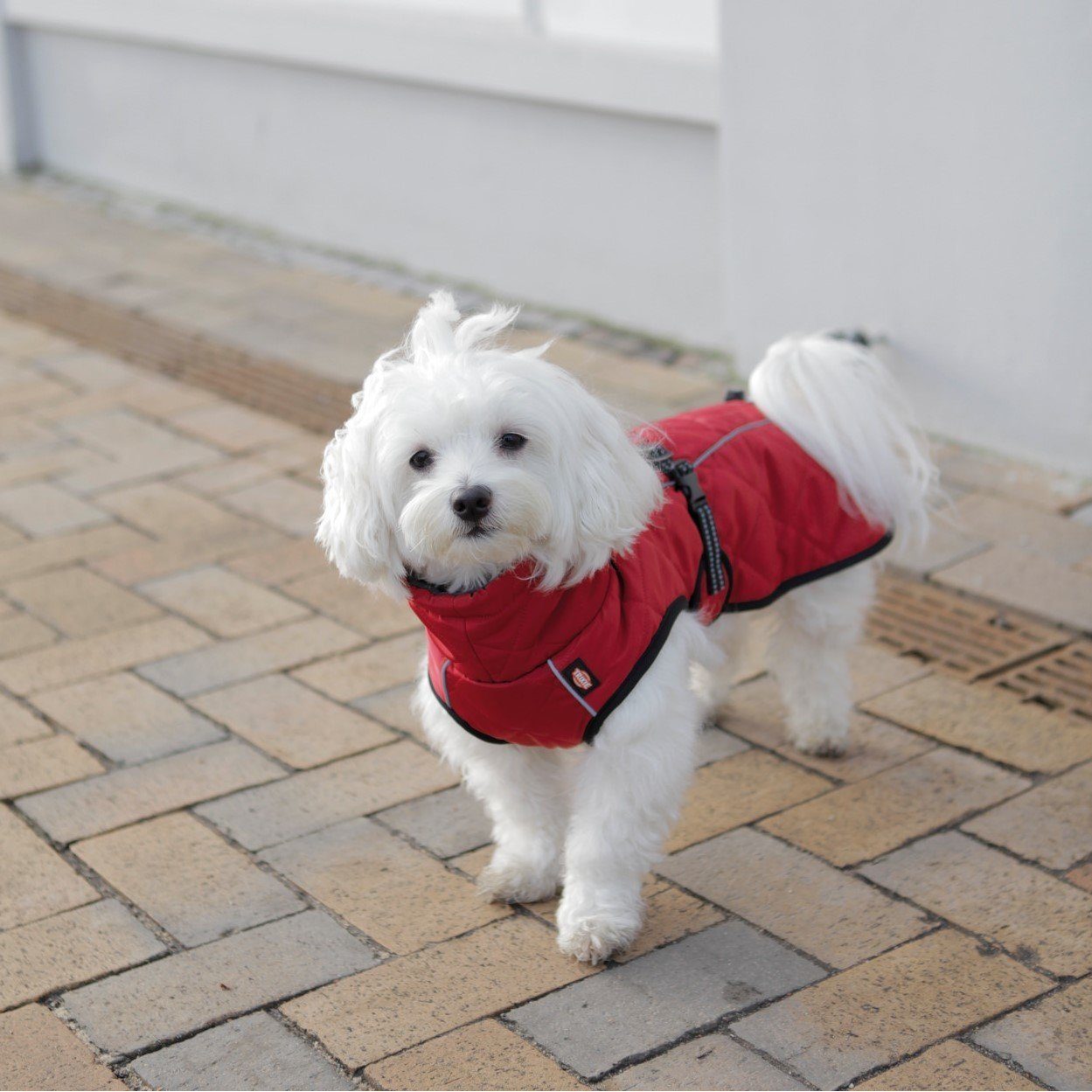 TRIXIE Hundemantel Minot