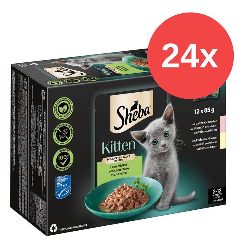 Sparpaket Sheba Kitten Varietäten 24 x 85 g