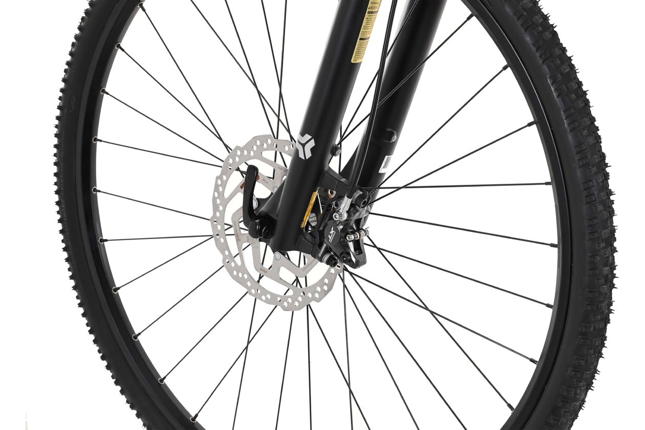 Carver Cinos 150 - 2024 - 28 Zoll - Damen Sport