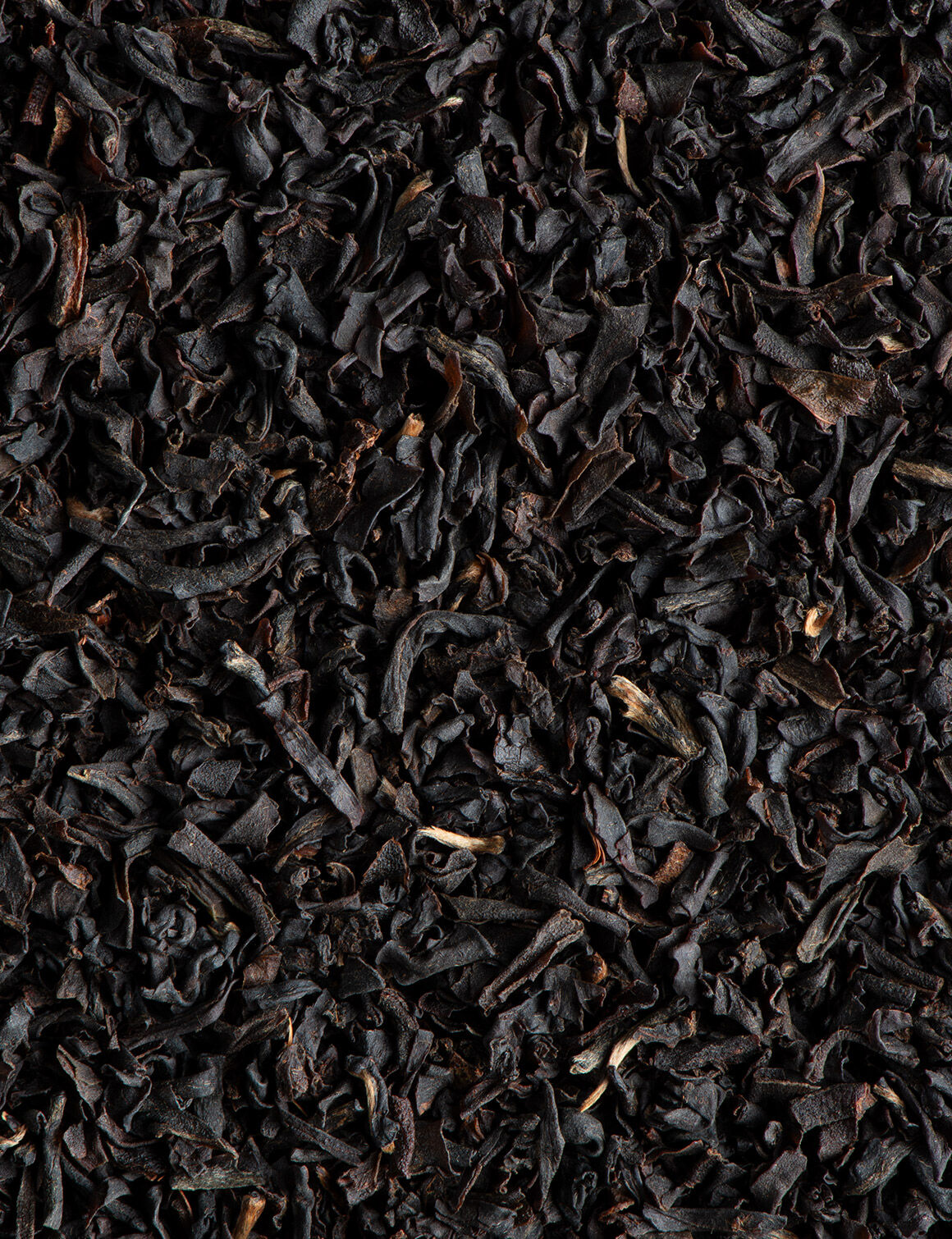 Thé noir Breakfast BIO-24 sachets enveloppés