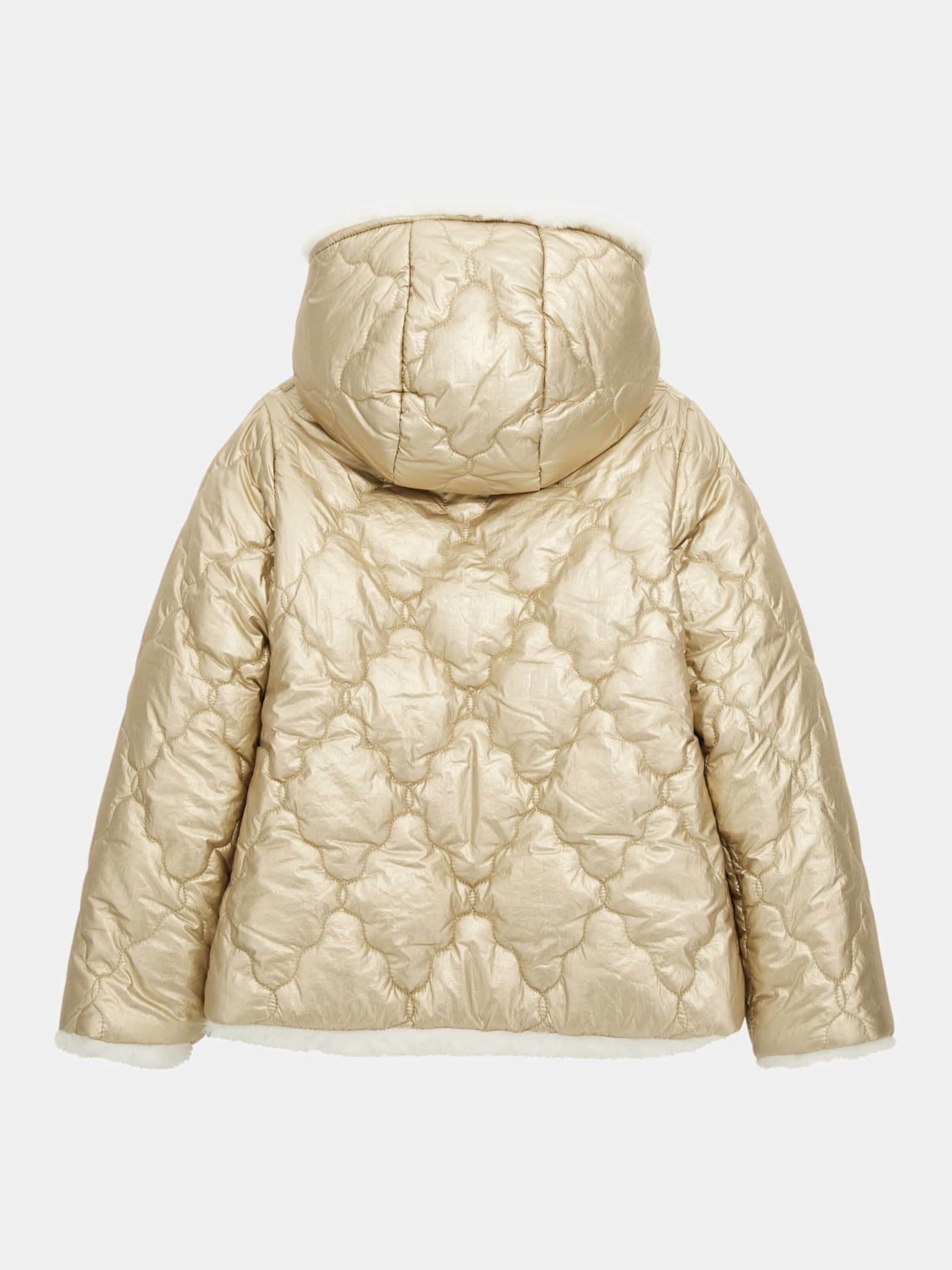 Between-Season Jacket