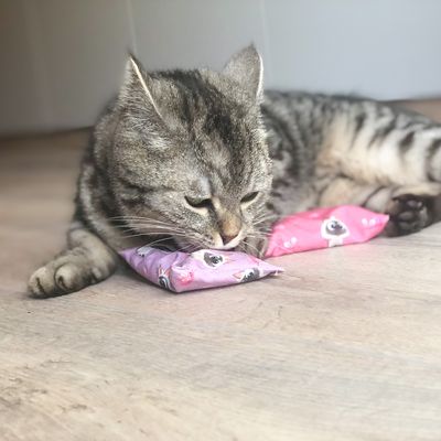 Aumüller Baldini Katzenspielkissen PETS Edition
