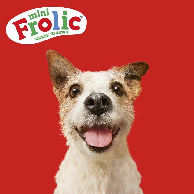 Frolic Mini Geflügel