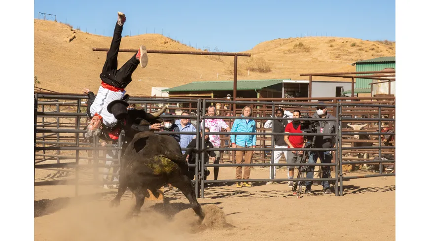 Jackass Forever