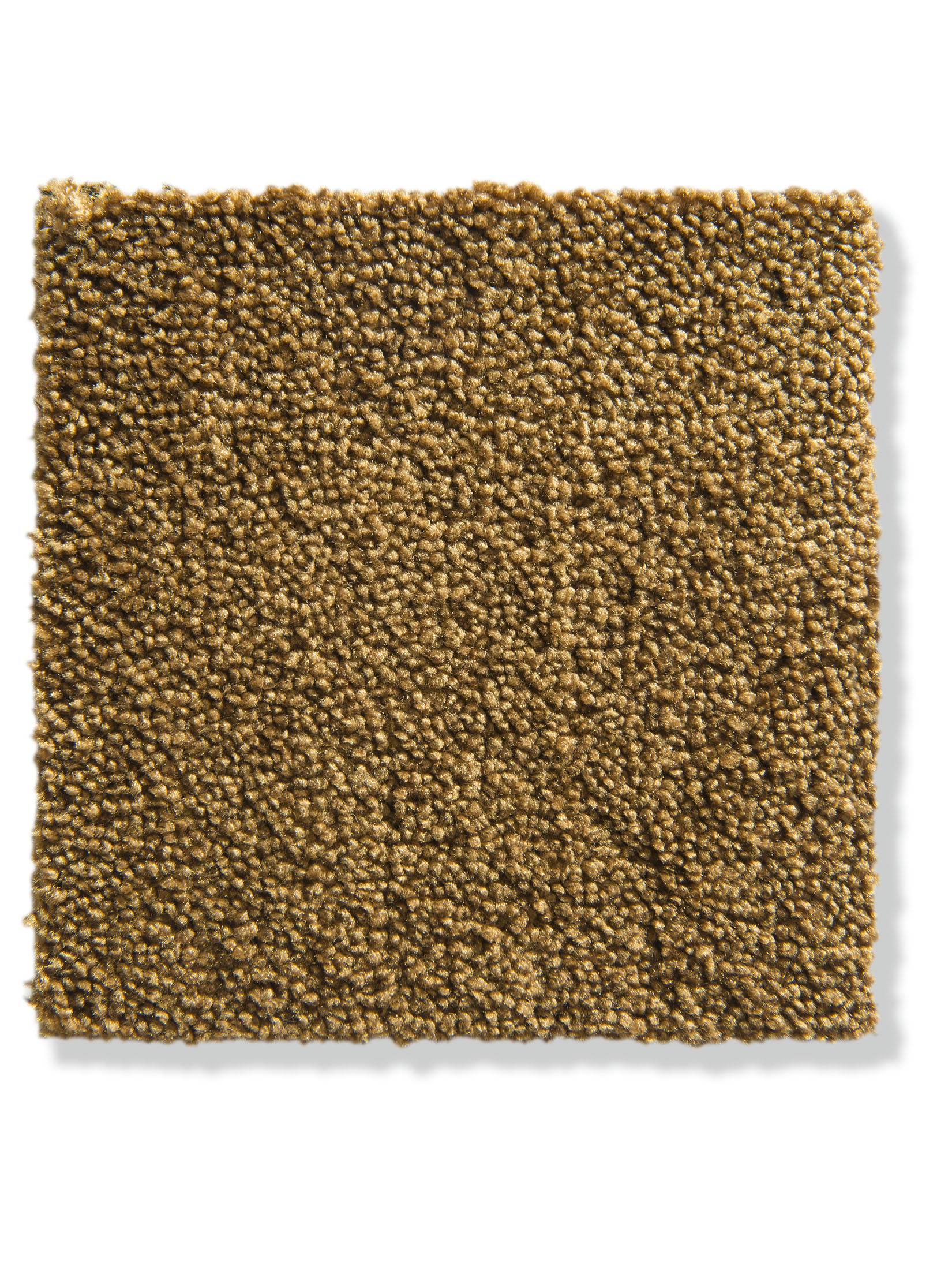 Parma Velours-Teppichboden, Gold 50