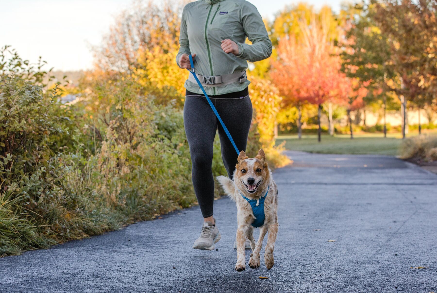 Ruffwear Hundeleinen Ruffwear Trail Runner™ Leine