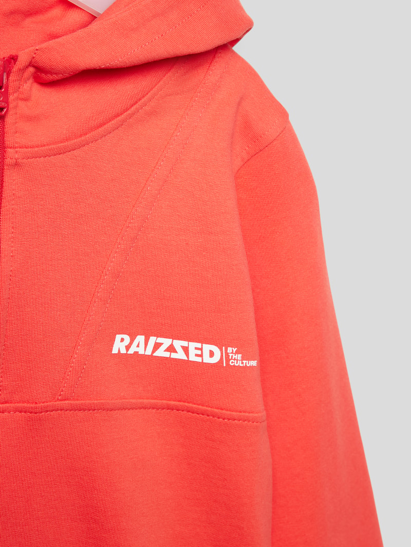 Hoodie mit kurzem Reißverschluss Modell 'WEBB' in rot
