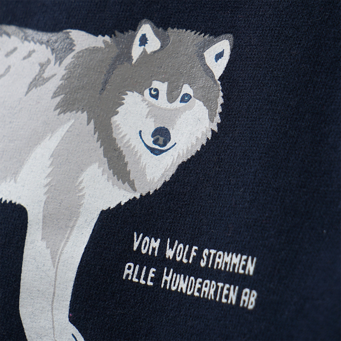 Kinder Sweatshirt mit Wolf-Motiv