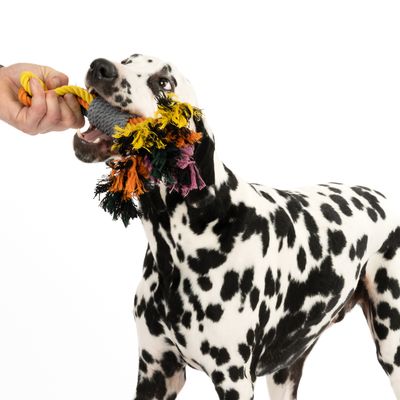 Nomad Tales Spirit Hundespielzeug Multirope
