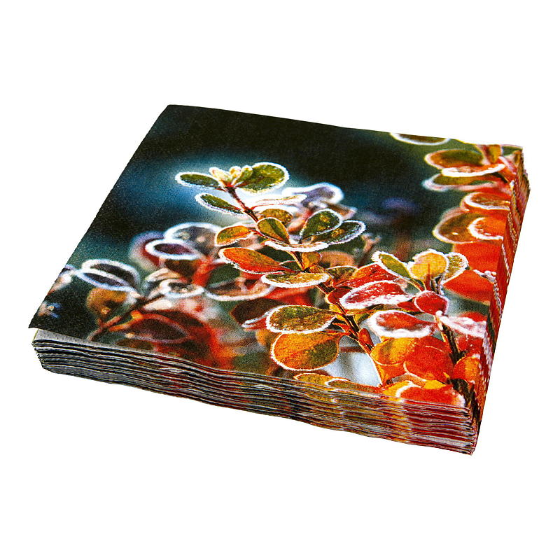 Vie Eco Servietter 20-pk 33x33 cm, Vinter