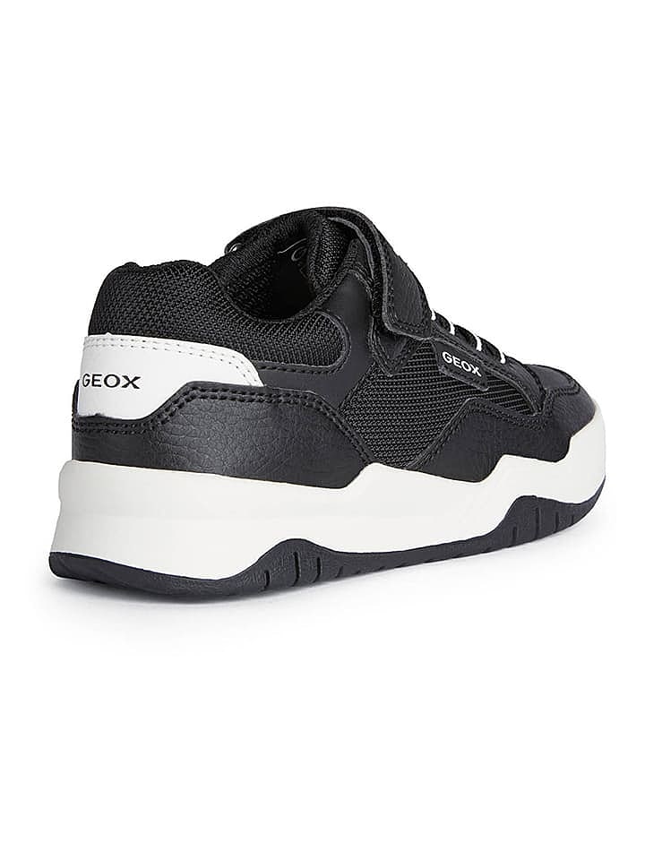 Geox Sneakers 
