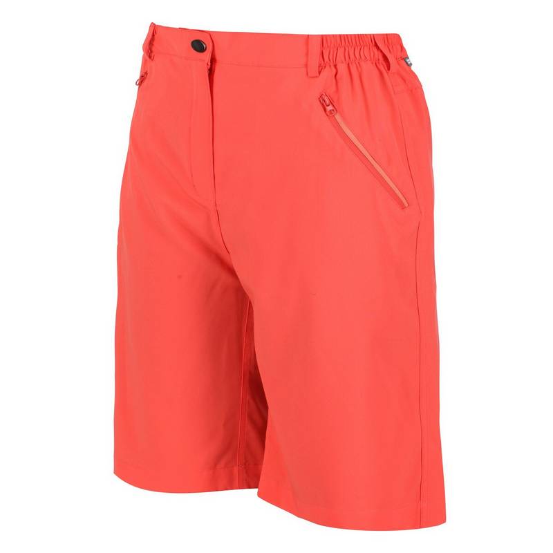 Regatta Xert It Shorts Damen