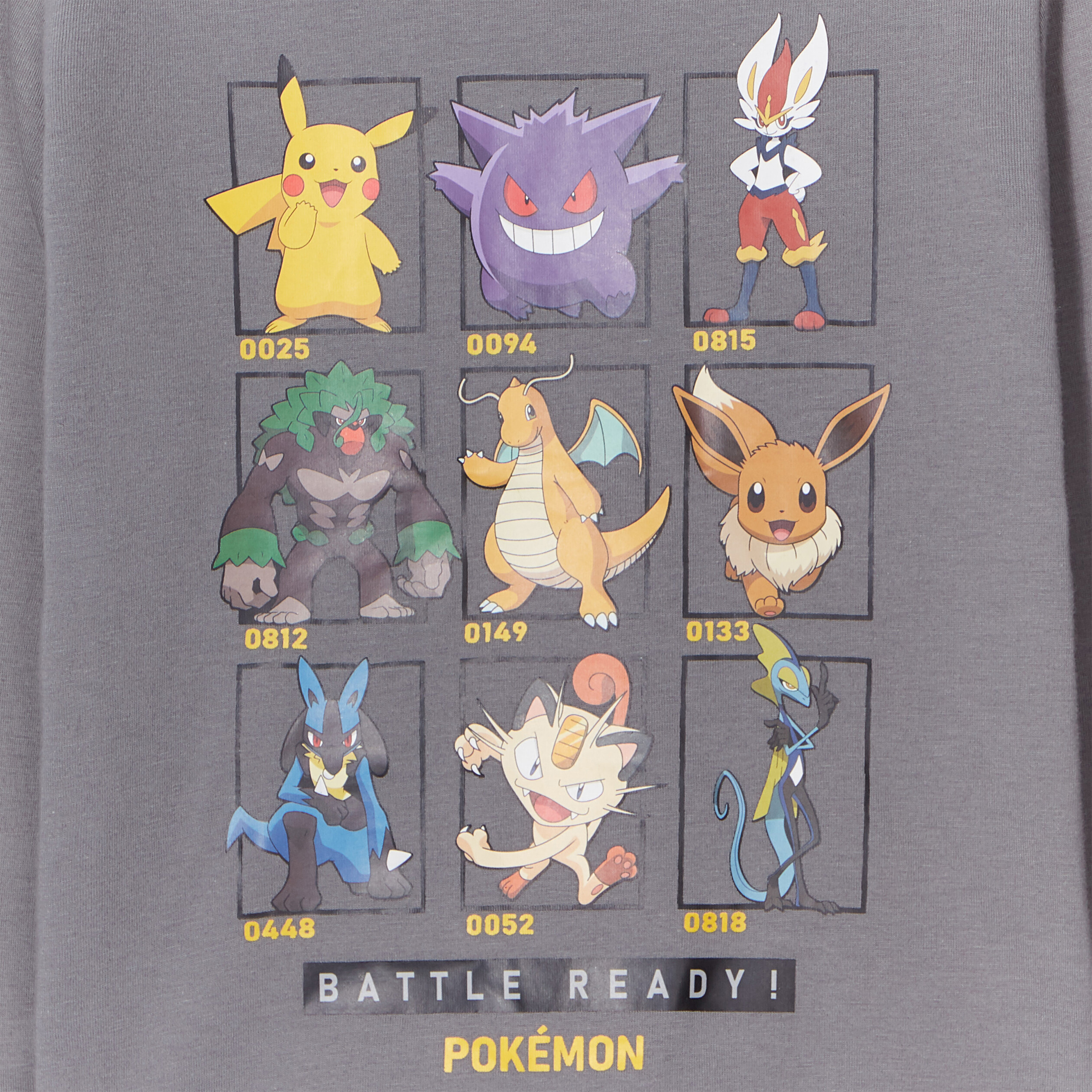 T-shirt droit manches longues Pokémon gris garçon | La Halle