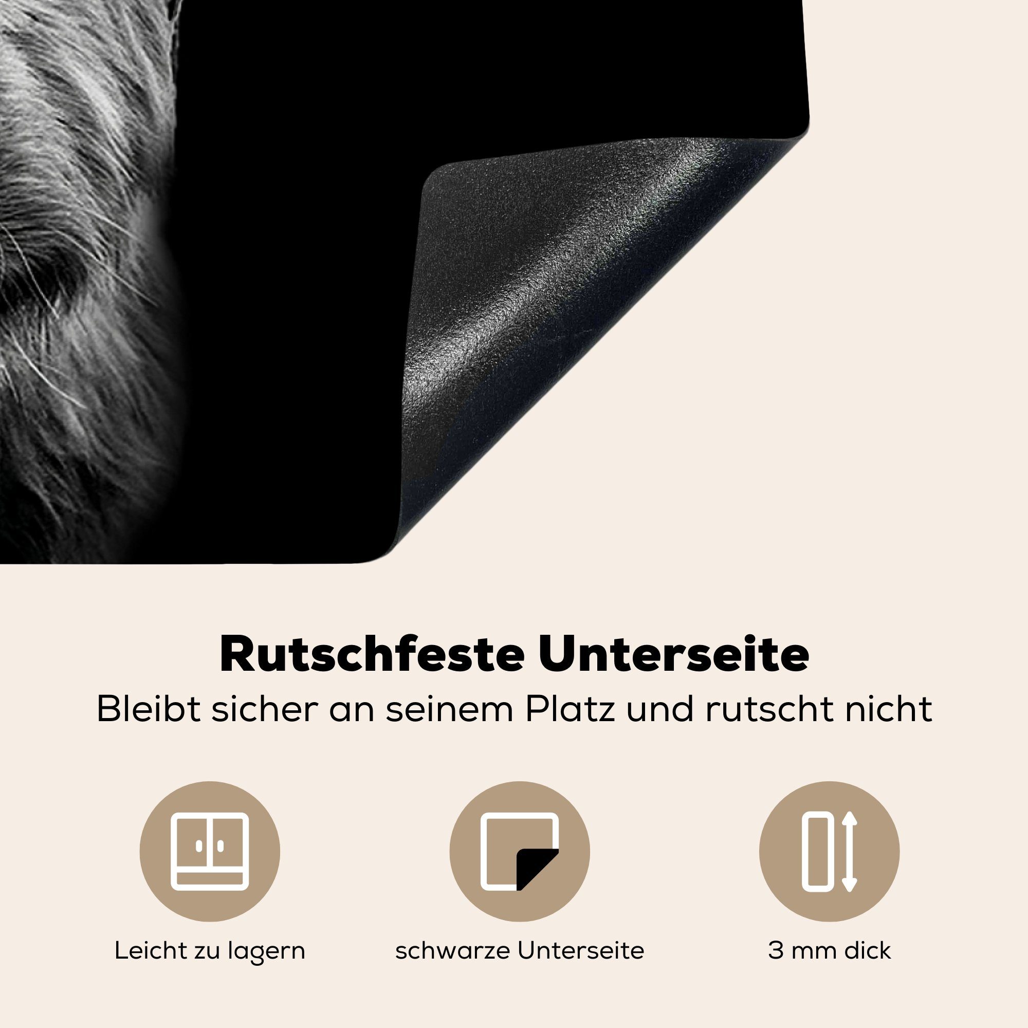 MuchoWow Herdblende-/Abdeckplatte Schottischer Highlander - Hörner - Schwarz - Weiß - Kuh - Wild - Tiere, Vinyl, (1 tlg), 81x52 cm, Induktionskochfeld Schutz für die küche, Ceranfeldabdeckung
