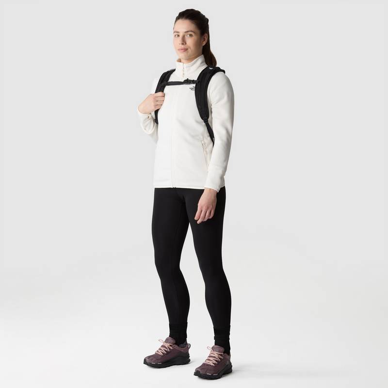 The North Face 100 GLACIER Fleecejacke Damen