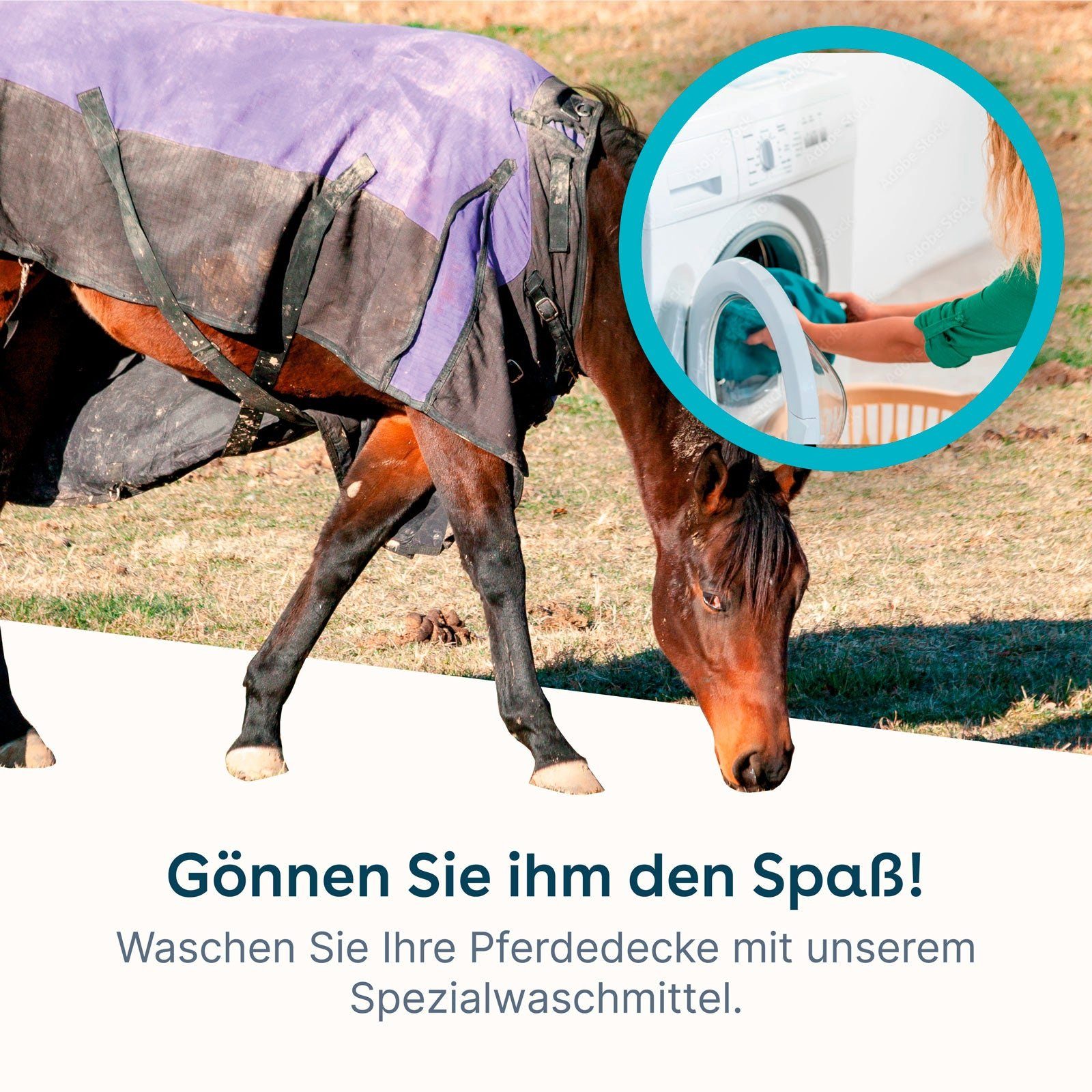 eco:fy Pferdedecken-Waschmittel Spezialwaschmittel (Entfernt schonend den wasseranziehenden Dreck)