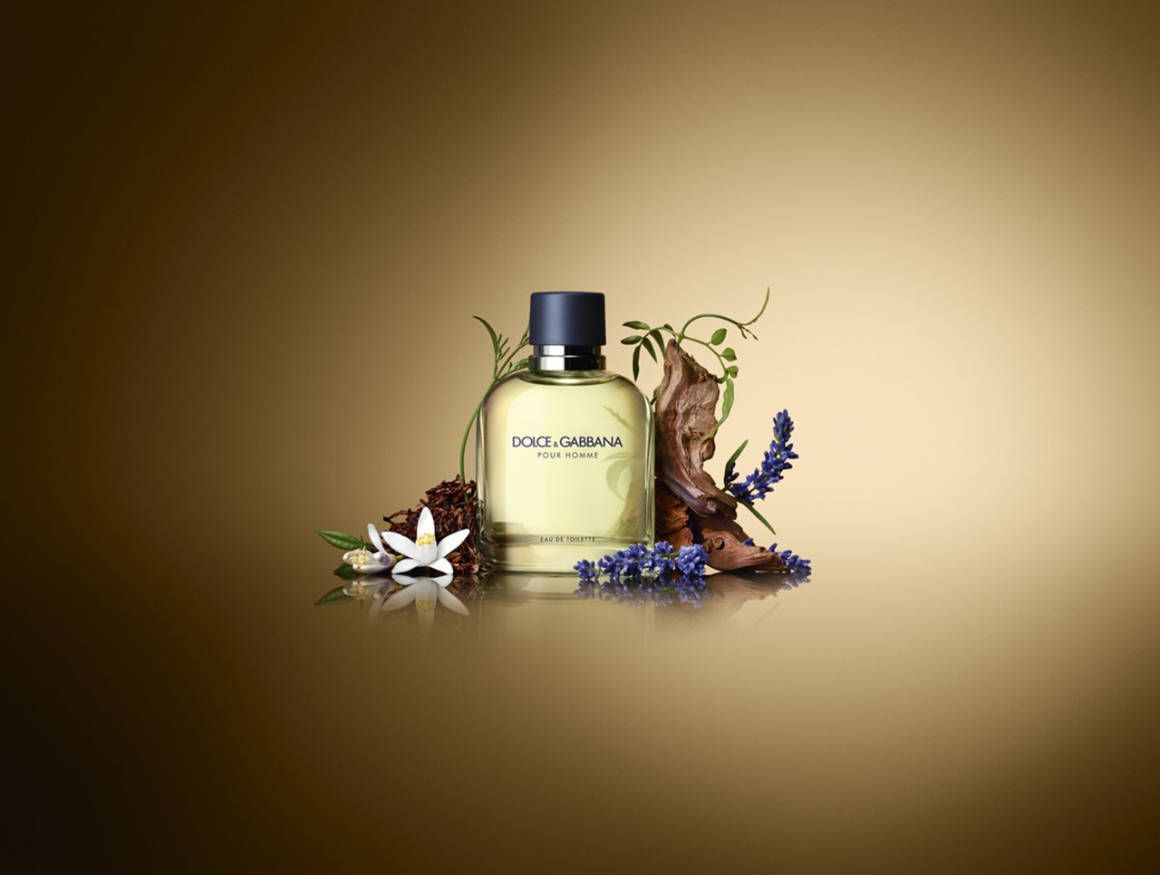 DOLCE&GABBANA Pour Homme Eau de Toilette Nat. Spray