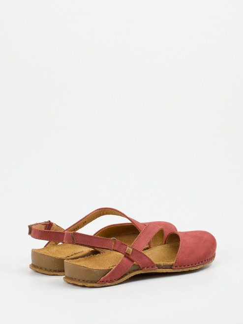 Slipper-13112590001 El Naturalista