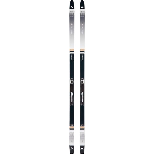 LANGLAUF-SKI-SET CRUISER + PROLINK AUTO