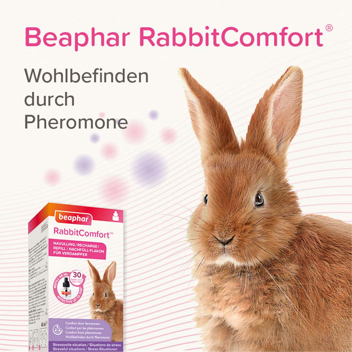beaphar RabbitComfort Nachfüll-Flakon 48ml kaufen