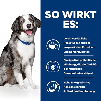 Hill's Prescription Diet i/d Sensitive Digestive Care mit Ei & Reis