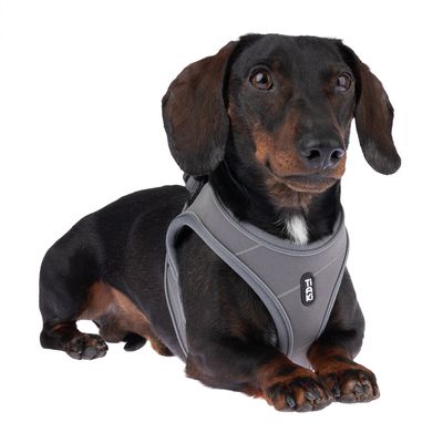 TIAKI Geschirr Wave Vest, anthrazit