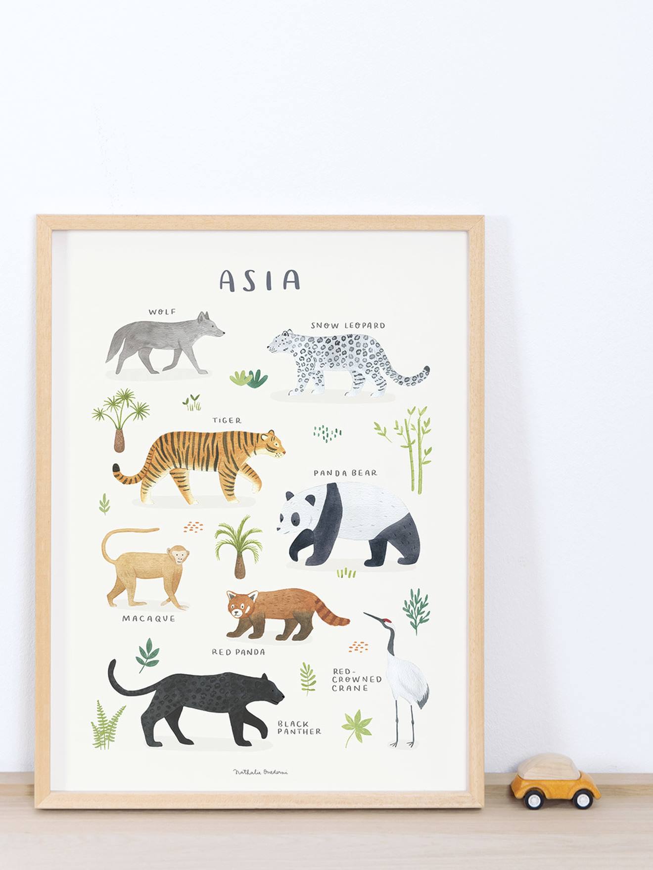 Affiche Animaux d'Asie Living Earth LILIPINSO gris