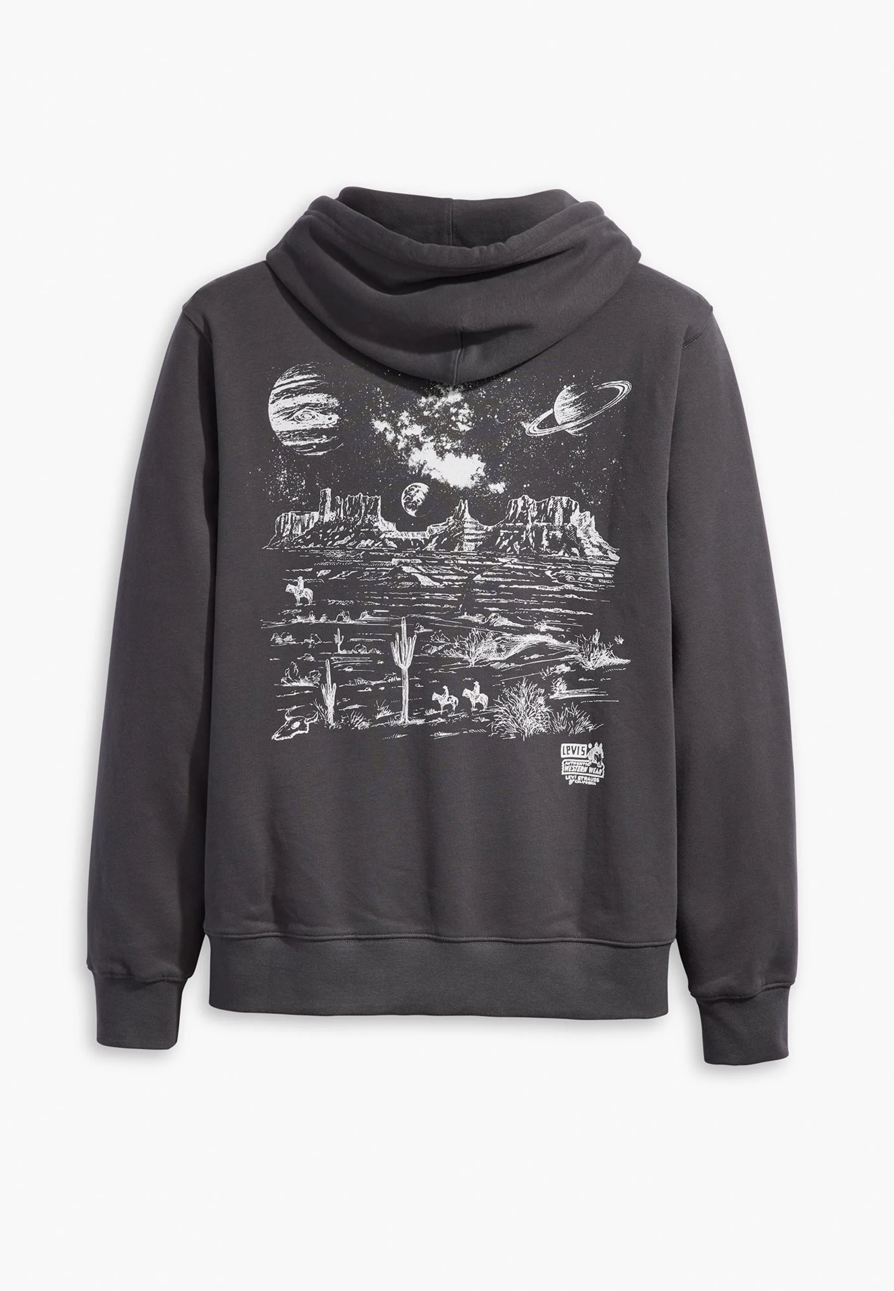 Sudadera con capucha Levi's® STANDARD GRAPHIC - Sudadera con capucha