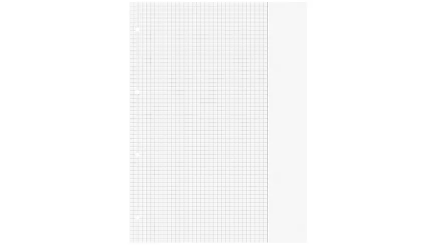 Ringbucheinlagen A4 Lineatur 26 50 Blatt