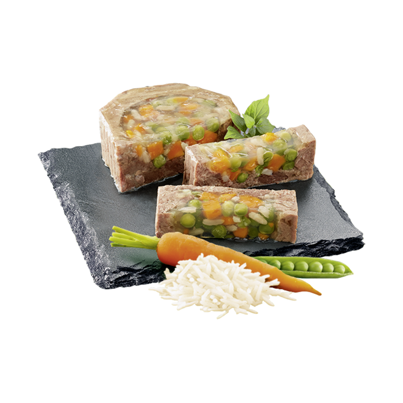 Cesar Hundenassfutter Cesar Garten-Terrine 14x150g Geflügel, Gemüse & Reis