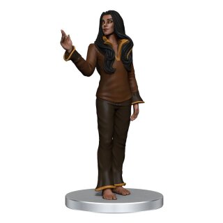 Critical Role: NPCs of Tal'Dorei - Set 2 (pre-painted) (12)