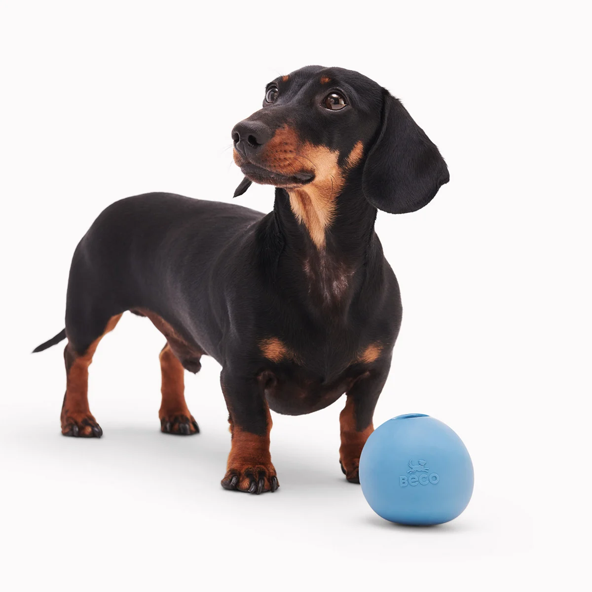 Beco Wobble Ball günstig kaufen bei ZooRoyal
