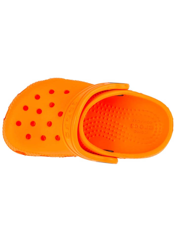 Crocs Crocs Classic Clog Kids T in Orange günstig kaufen
