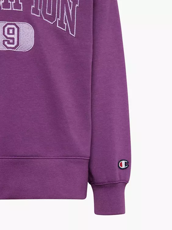Champion Hoodie