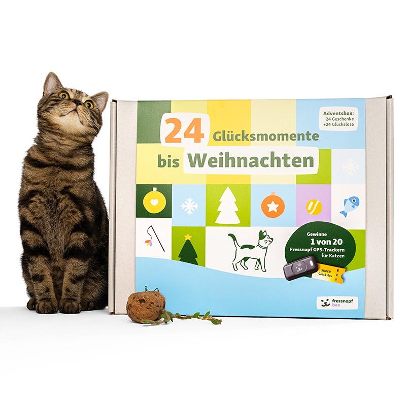 Fressnapf Nassfutter Fressnapf Adventskalender Katze