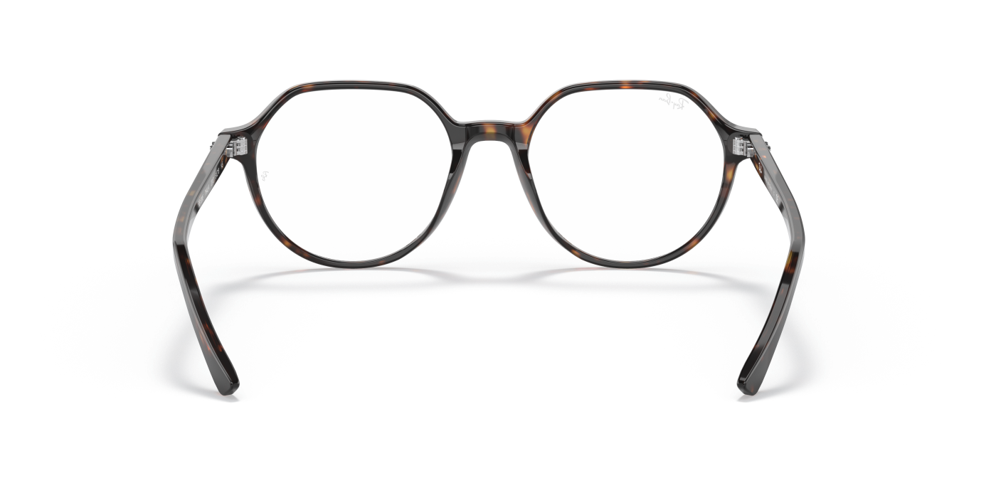 THALIA OPTICS - Havana Gloss