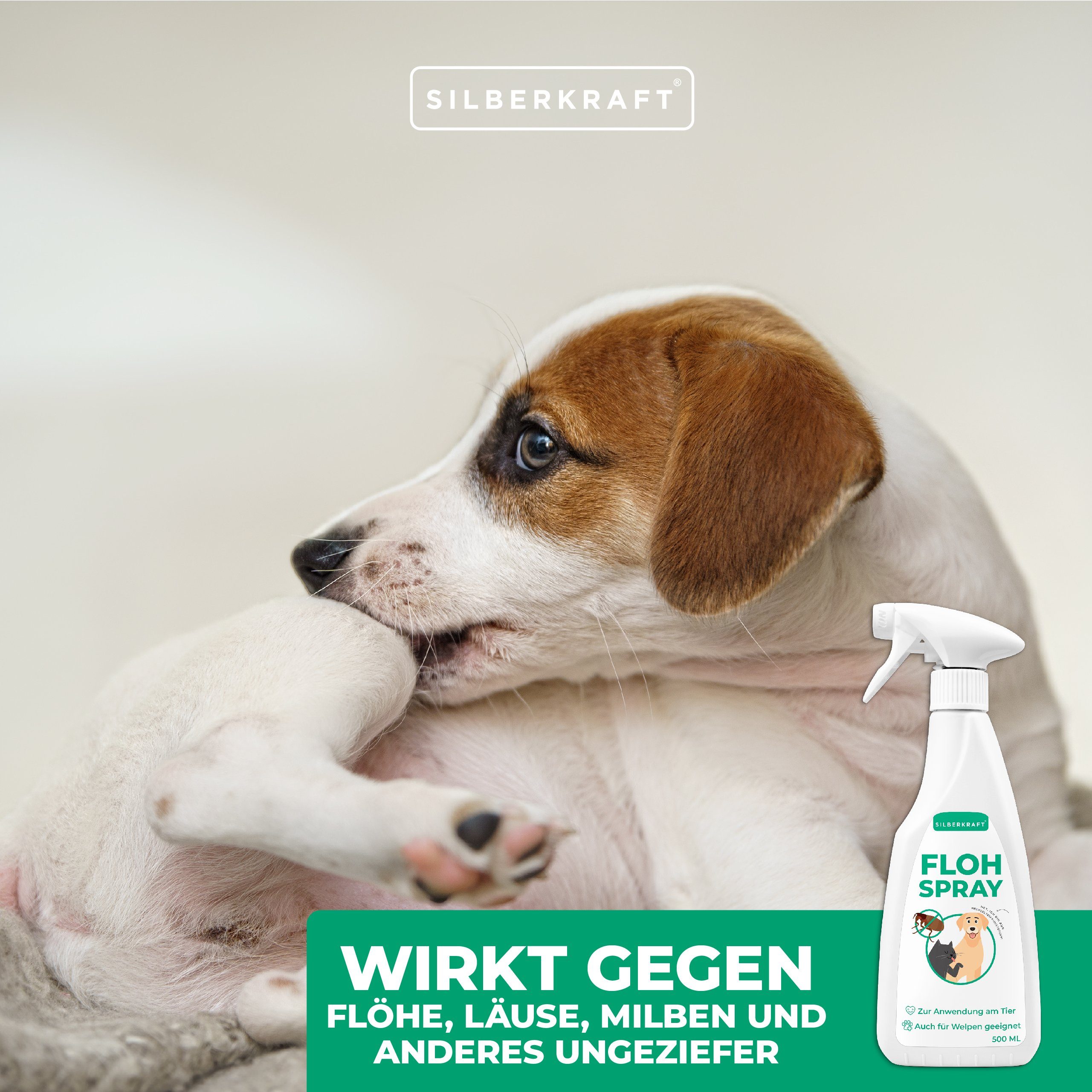 Silberkraft Insektenspray Flohspray Hunde & Katzen, 500 ml, 1-St.