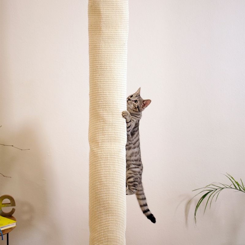 Kerbl Pet Klettersack Climber für Katzen zu TOP-Preisen | bitiba