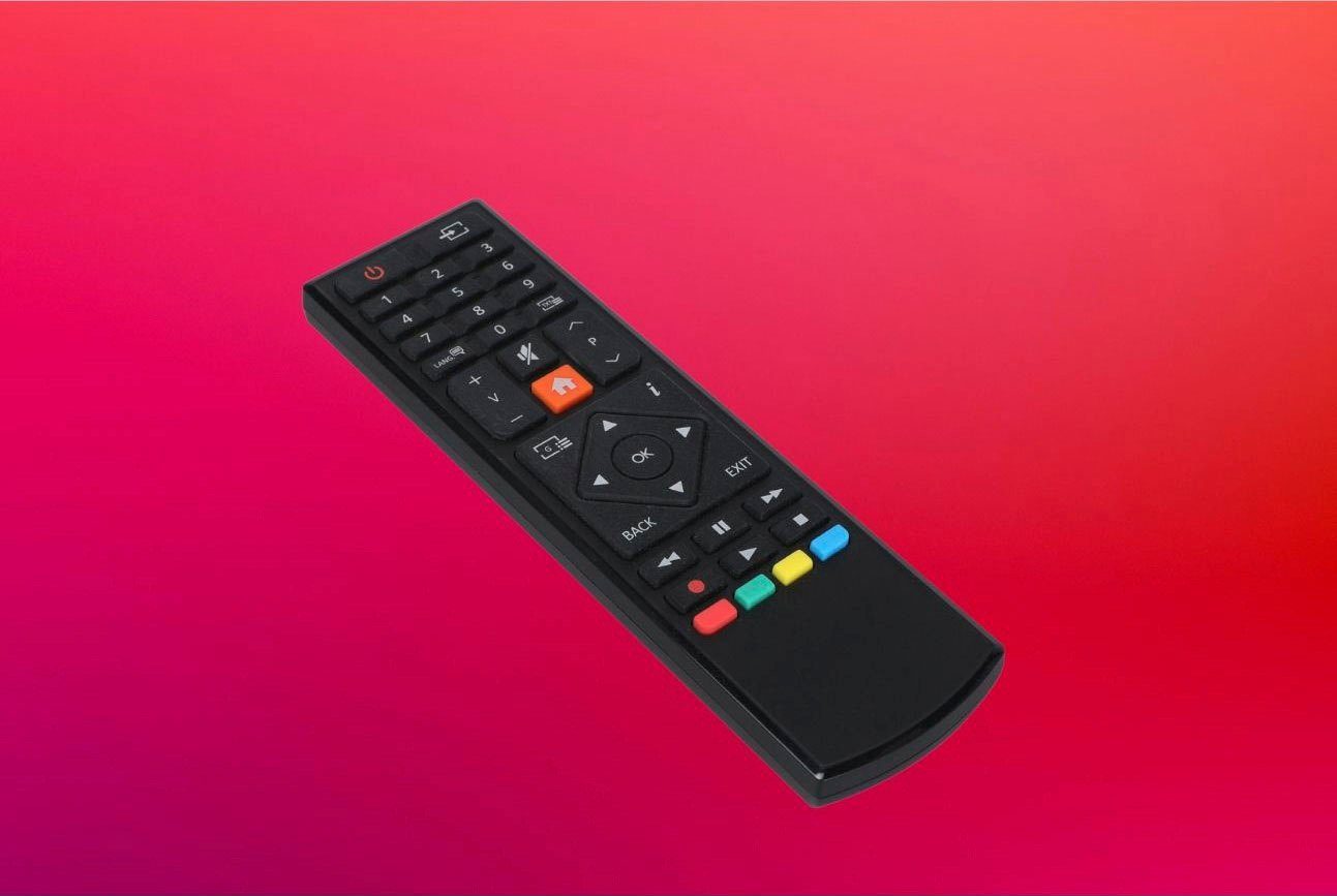Telefunken L24H550M4DI LED-Fernseher (60 cm/24 Zoll, HD-ready, integrierter DVD-Player)