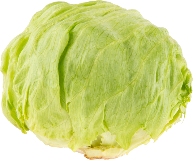 Eisbergsalat