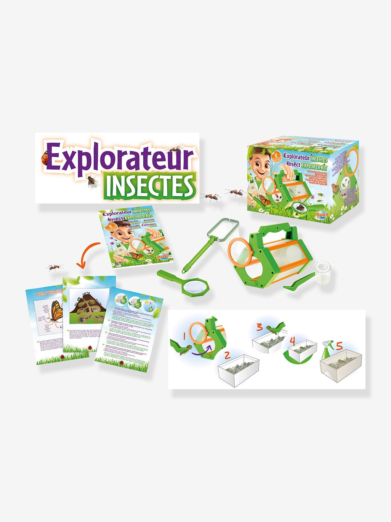 Explorateur d'insectes