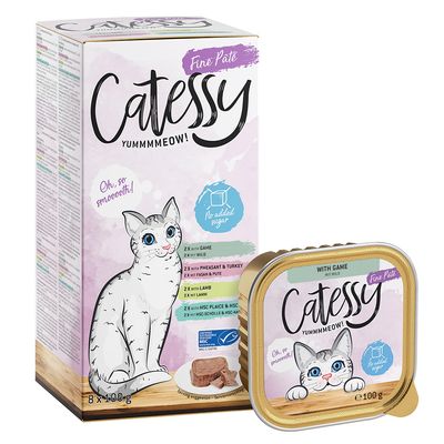 Mixpack Catessy Schälchen 32 x 100 g