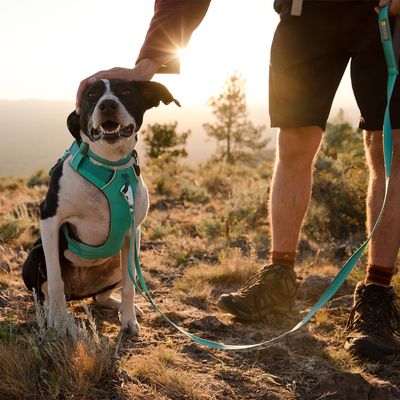 Ruffwear Front Range Hundegeschirr, Aurora Teal