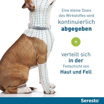 Seresto® Halsband Hund