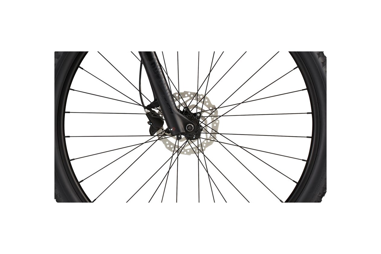 Cannondale Trail SL 3 - 2023 - 29 Zoll - Diamant