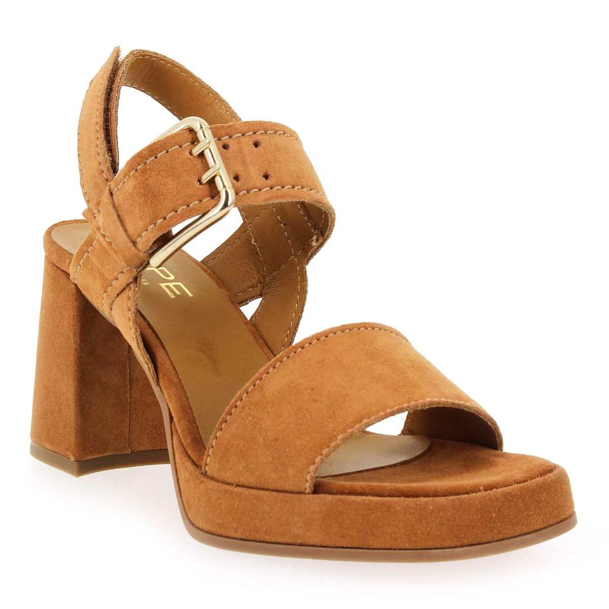 Alpe  2572 - Camel