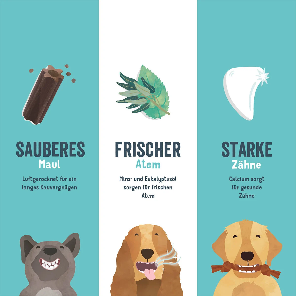 Edgard & Cooper Doggy Dental Erdbeere/Minze L kaufen bei ZooRoyal