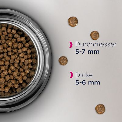 Eukanuba Healthy Start Kitten