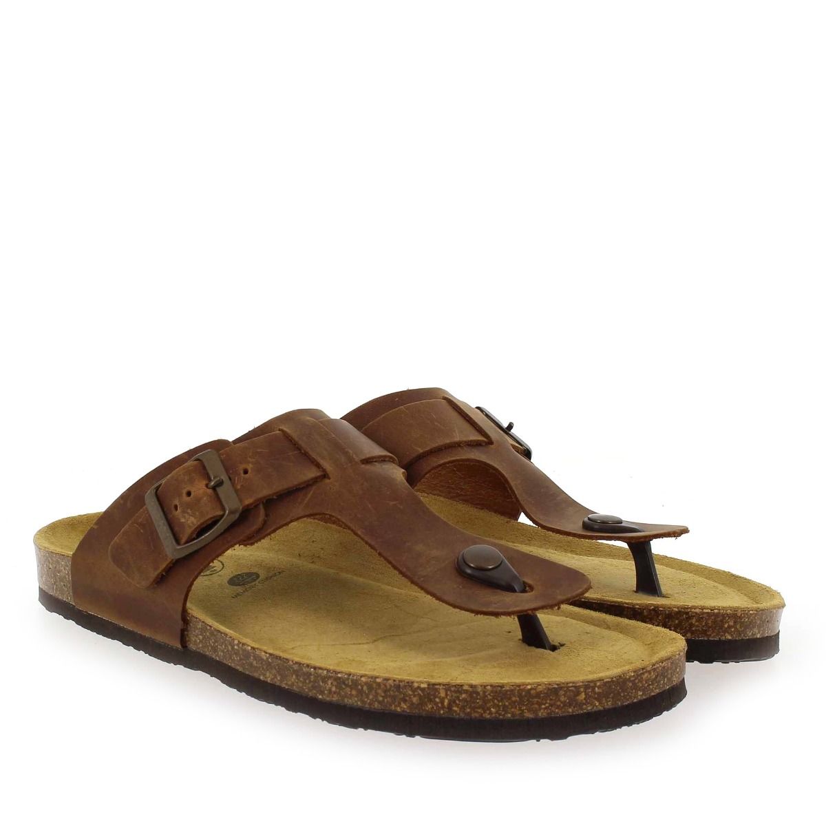 Plakton   BERDIE - Camel